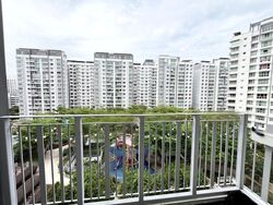 Blk 268C Punggol Sapphire (Punggol), HDB 4 Rooms #480013611